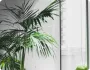 PG电子游戏：经典与创新的融合 - pg模拟器